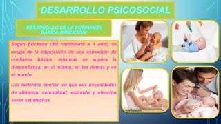 Según Erickson (del nacimiento a 1 año), se 
ocupa de la adquisición de una sensación de 
confianza básica, mientras se supera la 
desconfianza, en si mismo, en los demás y en 
el mundo. 
Los lactantes confían en que sus necesidades 
de alimento, comodidad, estimulo y atención 
serán satisfechas. 
 