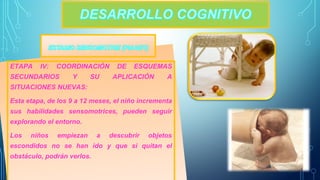 ETAPA IV: COORDINACIÓN DE ESQUEMAS 
SECUNDARIOS Y SU APLICACIÓN A 
SITUACIONES NUEVAS: 
Esta etapa, de los 9 a 12 meses, el niño incrementa 
sus habilidades sensomotrices, pueden seguir 
explorando el entorno. 
Los niños empiezan a descubrir objetos 
escondidos no se han ido y que si quitan el 
obstáculo, podrán verlos. 
 