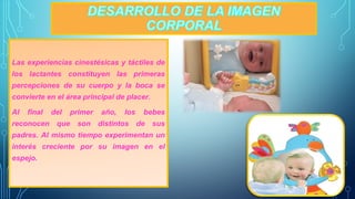 Las experiencias cinestésicas y táctiles de 
los lactantes constituyen las primeras 
percepciones de su cuerpo y la boca se 
convierte en el área principal de placer. 
Al final del primer año, los bebes 
reconocen que son distintos de sus 
padres. Al mismo tiempo experimentan un 
interés creciente por su imagen en el 
espejo. 
 