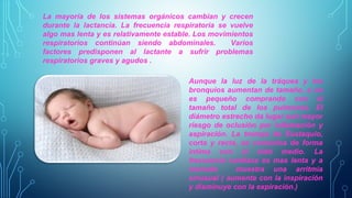 La mayoría de los sistemas orgánicos cambian y crecen 
durante la lactancia. La frecuencia respiratoria se vuelve 
algo mas lenta y es relativamente estable. Los movimientos 
respiratorios continúan siendo abdominales. Varios 
factores predisponen al lactante a sufrir problemas 
respiratorios graves y agudos . 
Aunque la luz de la tráquea y los 
bronquios aumentan de tamaño, a un 
es pequeño comprando con el 
tamaño total de los pulmones. El 
diámetro estrecho da lugar aun mayor 
riesgo de oclusión por inflamación y 
aspiración. La trompa de Eustaquio, 
corta y recta, se comunica de forma 
intima con el oído medio. La 
frecuencia cardiaca es mas lenta y a 
menudo muestra una arritmia 
sinusual ( aumenta con la inspiración 
y disminuye con la expiración.) 
 
