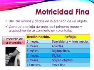  Uso de manos y dedos en la prensión de un objeto.
 Conducta refleja durante los 3 primeros meses y
gradualmente se convierte en voluntaria.
Recién nacido. Reflejo.
3 meses. Semiabierta – línea media.
4 meses. Abiertas.
5 meses. Digitopalmar.
7 meses. Digital.
9 meses. Golpea objetos.
13 meses. Pinza fina.
Desarrollo de
la prensión.
 