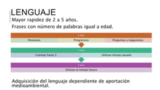 LENGUAJE 
Mayor rapidez de 2 a 5 años. 
Frases con número de palabras igual a edad. 
2 años 
Posesivos Progresivos Preguntas y negaciones. 
4 años 
Cuentan hasta 5 Utilizan tiempo pasado 
5 años 
Utilizan el tiempo futuro 
Adquisición del lenguaje dependiente de aportación 
medioambiental. 
 