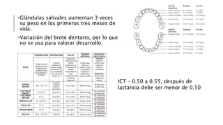 •Glándulas salivales aumentan 3 veces 
su peso en los primeros tres meses de 
vida. 
•Variación del brote dentario, por lo que 
no se usa para valorar desarrollo. 
ICT – 0.50 a 0.55, después de 
lactancia debe ser menor de 0.50 
 