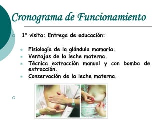 Cronograma de Funcionamiento
 1° visita: Entrega de educación:
 Fisiología de la glándula mamaria.
 Ventajas de la leche materna.
 Técnica extracción manual y con bomba de
extracción.
 Conservación de la leche materna.

 