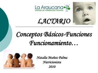 LACTARIO
Conceptos Básicos-Funciones
Funcionamiento…
Natalia Muñoz Palma
Nutricionista
2010
 