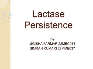 Lactase
Persistence
By
JIGISHA PARMAR 22MBC014
SIMRAN KUMARI 22MMB037
 