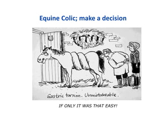 Equine Colic; make a decision
IF ONLY IT WAS THAT EASY!
 