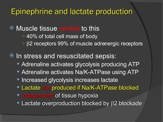 Muscle tissue  central  to this 40% of total cell mass of body  2 receptors 99% of muscle adrenergic receptors In stress and resuscitated sepsis: Adrenaline activates glycolysis producing ATP Adrenaline activates Na/K-ATPase using ATP Increased glycolysis increases lactate Lactate  not  produced if Na/K-ATPase blocked Independent  of tissue hypoxia Lactate overproduction blocked by   2 blockade Epinephrine and lactate production 