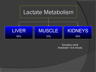 Lactate Metabolism LIVER 60% KIDNEYS 30% Excretion renal  threshold = 5-6 mmol/L MUSCLE 10% 