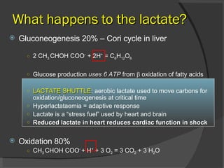 What happens to the lactate? Gluconeogenesis 20% – Cori cycle in liver 2 CH 3  CHOH COO -  + 2H +  = C 6 H 12 O 6 Glucose production  uses 6 ATP  from    oxidation of fatty acids LACTATE SHUTTLE : aerobic lactate used to move carbons for oxidation/gluconeogenesis at critical time Hyperlactataemia = adaptive response Lactate is a “stress fuel” used by heart and brain Reduced lactate in heart reduces cardiac function in shock Oxidation 80% CH 3  CHOH COO -  + H +  + 3 O 2  = 3 CO 2  + 3 H 2 O 