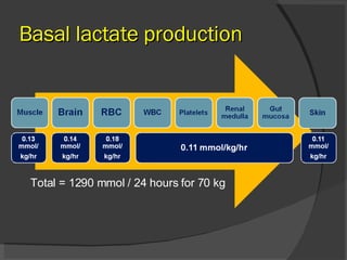 Basal lactate production Total = 1290 mmol / 24 hours for 70 kg 