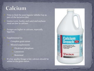 Calcium<br />Time to feed the pure legume (alfalfa) hay as part of the lactation diet.<br />Grains (corn, barley, and oats...