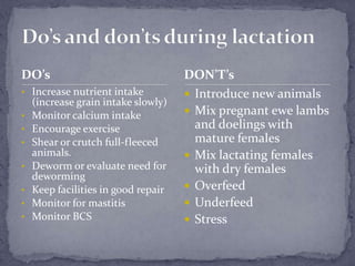 Do’s and don’ts during lactation<br />DO’s<br /><ul><li>Increase nutrient intake(increase grain intake slowly)