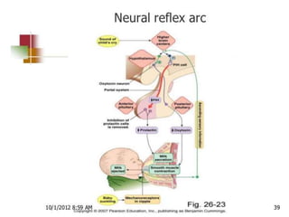 Lactation and its management