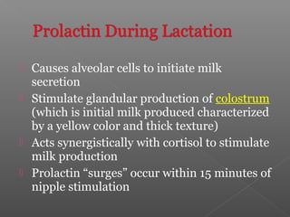  Causes alveolar cells to initiate milk
secretion
 Stimulate glandular production of colostrum
(which is initial milk produced characterized
by a yellow color and thick texture)
 Acts synergistically with cortisol to stimulate
milk production
 Prolactin “surges” occur within 15 minutes of
nipple stimulation
 