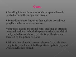 Cont.
Suckling infant stimulates touch receptors densely
located around the nipple and areola.
Sensations create impulses that activate dorsal root
ganglia via the intercostals nerves.
Impulses ascend the spinal cord, creating an afferent
neuronal pathway to both the paraventricular nuclei of
the hypothalamus where oxytocin is synthesized and
secreted by the pituitary gland.
Stimulation of nuclei causes release of oxytocin down
the pituitary stalk and into the posterior pituitary gland,
where oxytocin is stored.
 