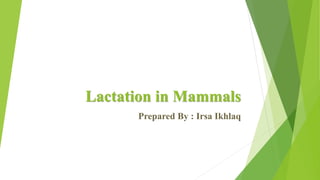 Lactation in Mammals
Prepared By : Irsa Ikhlaq
 