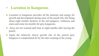 Lactation in mammals | PDF