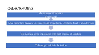 GALACTOPOISES
Maintenance of lactation
By prolactin
After parturition decrease in estrogen and progesterone ,prolactin level is also decrease
But periodic serge of prolactin with each episode of suckling
This serge maintain lactation
 