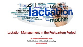 Lactation Management in the Postpartum Period
By
Dr. Ahmed Mohamed Amin Nasef
Assistant lecturer of Obstetrics & gynecology
Benha University
 