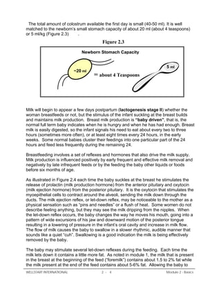 Lactation Management Self Study Modules Level I | PDF
