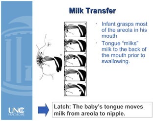 Milk TransferMilk Transfer
• Infant grasps most
of the areola in his
mouth
• Tongue “milks”
milk to the back of
the mouth prior to
swallowing.
Latch: The baby’s tongue moves
milk from areola to nipple.
 