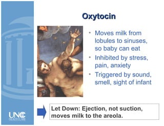 OxytocinOxytocin
• Moves milk from
lobules to sinuses,
so baby can eat
• Inhibited by stress,
pain, anxiety
• Triggered by sound,
smell, sight of infant
Let Down: Ejection, not suction,
moves milk to the areola.
 