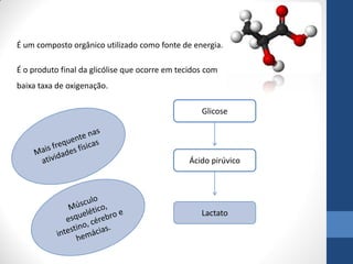 É um composto orgânico utilizado como fonte de energia.

É o produto final da glicólise que ocorre em tecidos com
baixa taxa de oxigenação.

                                                   Glicose




                                                Ácido pirúvico




                                                   Lactato
 