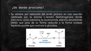 ¿De donde proviene?
 Se obtiene por reducción del ácido pirúvico en una reacción
catalizada por la enzima L-lactato deshidrogenasa donde
interviene como coenzima la nicotinamida adenina dinucleótido
(NAD) que pasa de su forma reducida a la forma oxidada
haciendo posible que continúe la glucolisis.
 