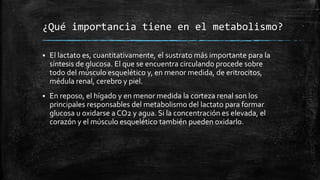 ¿Qué importancia tiene en el metabolismo?
 El lactato es, cuantitativamente, el sustrato más importante para la
síntesis de glucosa. El que se encuentra circulando procede sobre
todo del músculo esquelético y, en menor medida, de eritrocitos,
médula renal, cerebro y piel.
 En reposo, el hígado y en menor medida la corteza renal son los
principales responsables del metabolismo del lactato para formar
glucosa u oxidarse a CO2 y agua. Si la concentración es elevada, el
corazón y el músculo esquelético también pueden oxidarlo.
 
