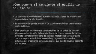 ¿Que ocurre si se pierde el equilibrio
del ciclo?
 La concentración de lactato aumenta cuando la tasa de producción
supera la tasa de eliminación.
 Su acumulación puede provocar un cuadro metabólico denominado
acidosis láctica.
 Si se producen incrementos considerables de las cifras de lactato
sérico con disminución del metabolismo de conversión de lactato a
piruvato se instala un cuadro de acidosis metabólica caracterizado
por una importante disfunción celular y orgánica de todos los
sistemas del organismo a menudo grave, que puede llevar al paciente
a la muerte.
 