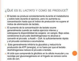 ¿QUÉ ES EL LACTATO Y COMO SE PRODUCE?
 El lactato se produce constantemente durante el metabolismo
y sobre todo durante el ejercicio, pero no aumenta su
concentración hasta que el índice de producción no supere al
índice de eliminación de lactato.
 El aumento de la concentración de lactato ocurre
generalmente cuando se realiza ejercicio intenso y
sobrepasa la disponibilidad de oxigeno en sangre. Bajo estas
condiciones la piruvato deshidrogenasa no alcanza a
convertir el piruvato a Acetil – CoA lo suficientemente rápido
y el piruvato comienza a acumularse.
 Esto generalmente inhibiría la glucolisis y reduciría la
producción de ATP (energía), si no fuera por que el lactato
deshidrogenasa reduce el piruvato a lactato.
 Al ciclo que comprende la glicólisis en la célula muscular y su
reciclaje por gluconeogénesis en el hígado se conoce como
ciclo de cori.
 