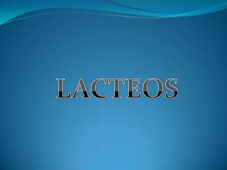 LACTEOS 