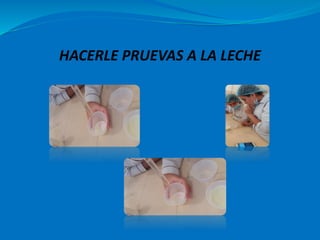 HACERLE PRUEVAS A LA LECHE
 