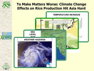 To Make Matters Worse: Climate Change Effects on Rice Production Hit Asia Hard 