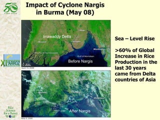 Sea – Level Rise >60% of Global Increase in Rice Production in the last 30 years came from Delta countries of Asia Impact of Cyclone Nargis in Burma (May 08) Before Nargis After Nargis Irrawaddy Delta 
