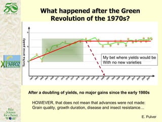 What happened after the Green Revolution of the 1970s? E. Pulver After a doubling of yields, no major gains since the early 1980s HOWEVER, that does not mean that advances were not made: Grain quality, growth duration, disease and insect resistance… My bet where yields would be With no new varieties 