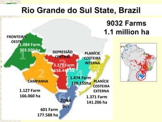 Rio Grande do Sul State, Brazil 9032 Farms 1.1 million ha FRONTEIRA OESTE PLANÍCIE COSTEIRA INTERNA ZONA SUL DEPRESSÃO CENTRAL CAMPANHA PLANÍCIE COSTEIRA EXTERNA 1.371 Farm 141.206 ha 601 Farm 177.588 ha 1.127 Farm 166.060 ha 1.084 Farm 303.920 ha 3.375 Farm 158.445 ha 1.474 Farm 129.155ha 