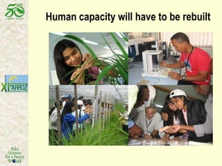 Human capacity will have to be rebuilt 