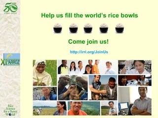 Help us fill the world’s rice bowls  Come join us! http://irri.org/JoinUs 