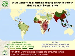 If we want to do something about poverty, it is clear that we must invest in rice 90% of the world’s rice is produced and consumed in Asia Over 70% of the world’s poor are in Asia Poverty Each dot represents 250,000 people living on less than $1.25 a day, 2005 Rice Consumption Annual consumption per capita  <25kg  25-50  50-75  75-100  >100kg 