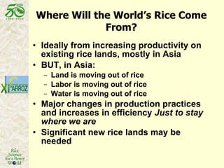 Latin America: The World’s Future Rice Bowl?
