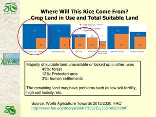 Latin America: The World’s Future Rice Bowl?