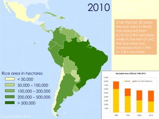 Latin America: The World’s Future Rice Bowl?