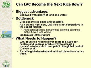 Latin America: The World’s Future Rice Bowl?