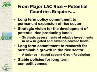 Latin America: The World’s Future Rice Bowl?
