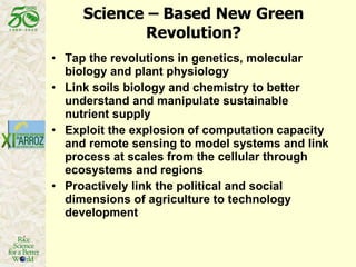 Latin America: The World’s Future Rice Bowl?