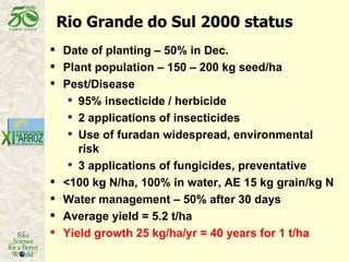 Latin America: The World’s Future Rice Bowl?