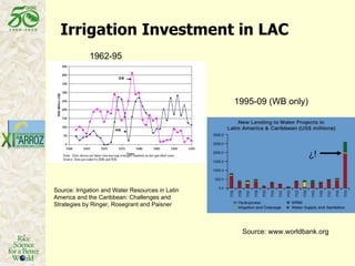 Latin America: The World’s Future Rice Bowl?