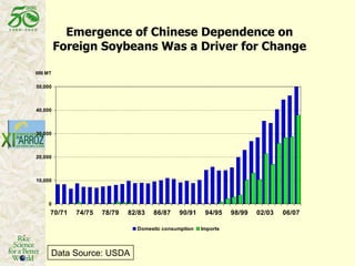 Latin America: The World’s Future Rice Bowl?